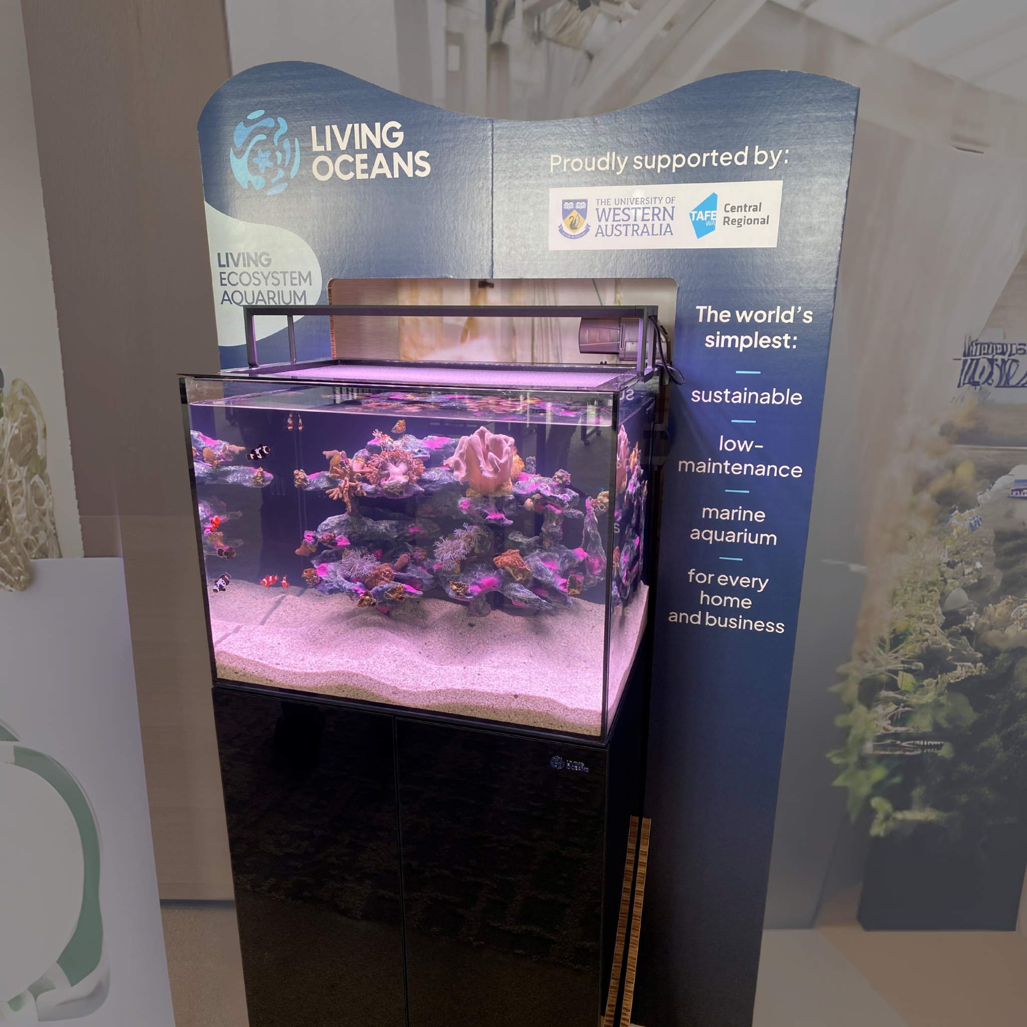 The Living Display: Marine Aquarium For Every Business