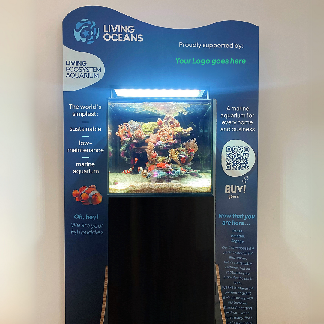 Commercial Business Lease - Living Display Cube 130L