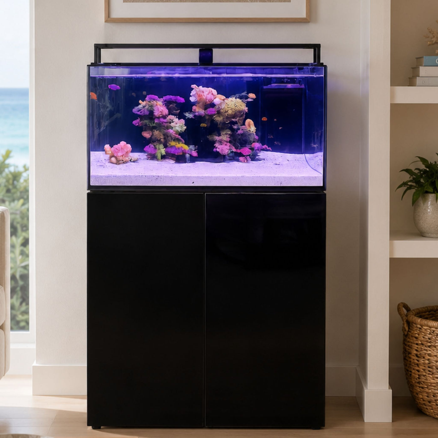 Living Oceans Aquarium - Clownfish