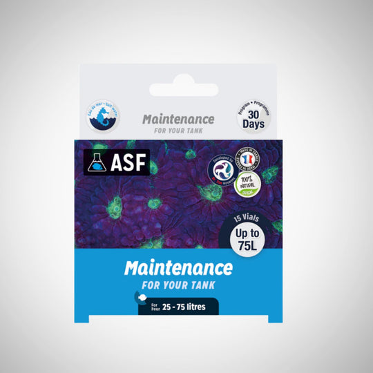 Aquarium Systems Maintenance For Your Tank - Marine