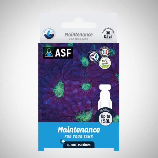 Aquarium Systems Maintenance For Your Tank - Marine