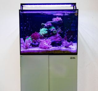 130L marine aquarium bundle with coral reef and clownfish