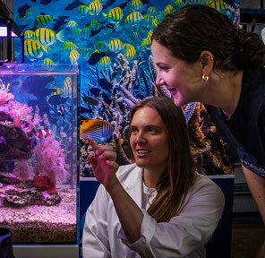 Living Oceans support team member guiding a customer at their marine tank