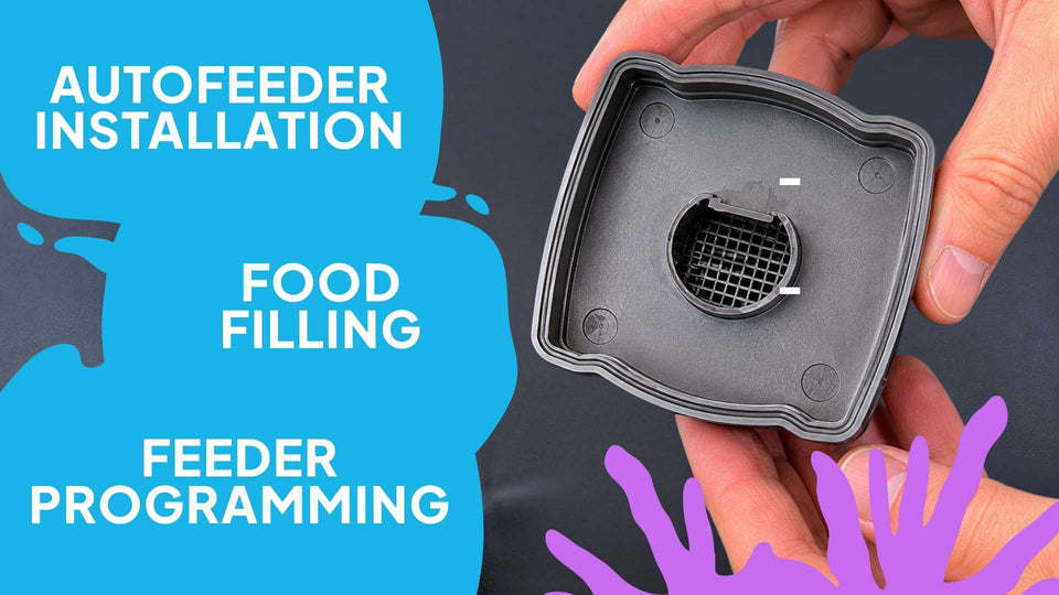 Autofeeder Installation | Food Filling | Feeder Programming – Living Oceans