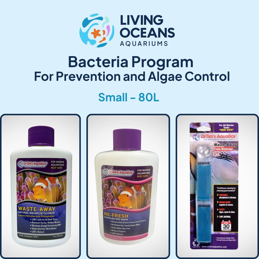 Bacteria Program For Prevention and Algae Control
