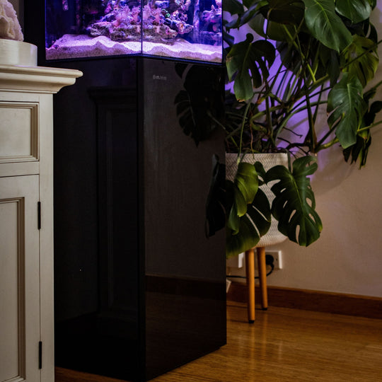 SEA Cabinet Black