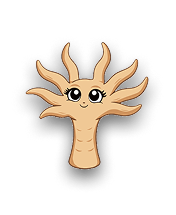 Cora the cartoon coral polyp