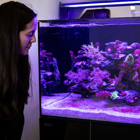 Smart Ecosystem Aquarium SEA 130L