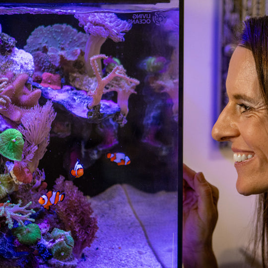 Smart Ecosystem Aquarium SEA 200L