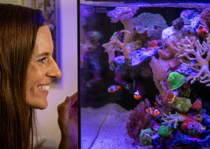 Man checking his marine aquarium fish and coral daily
