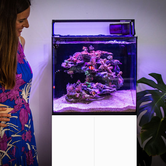 Smart Ecosystem Aquarium SEA 80L