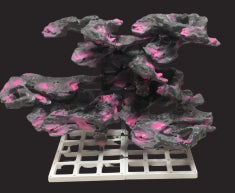 Modular artificial reef structure for easy coral placement in marine tanks
