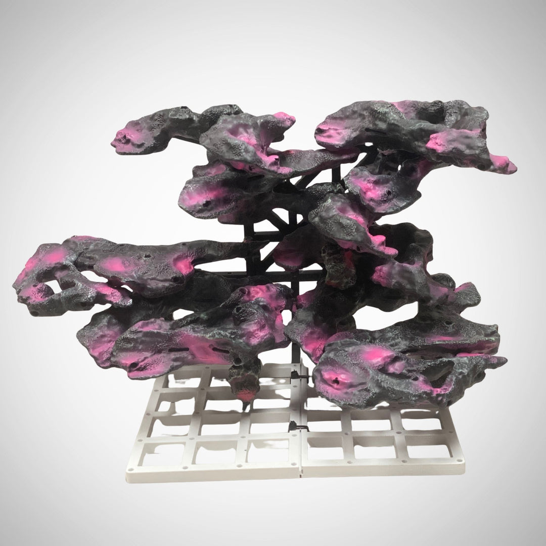 Living Blocks Reef