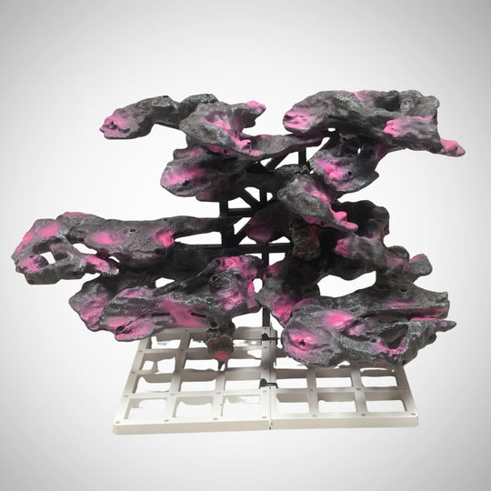 Living Blocks Reef