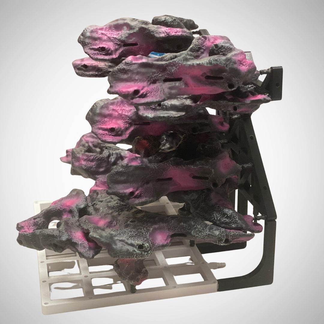 Living Blocks Reef