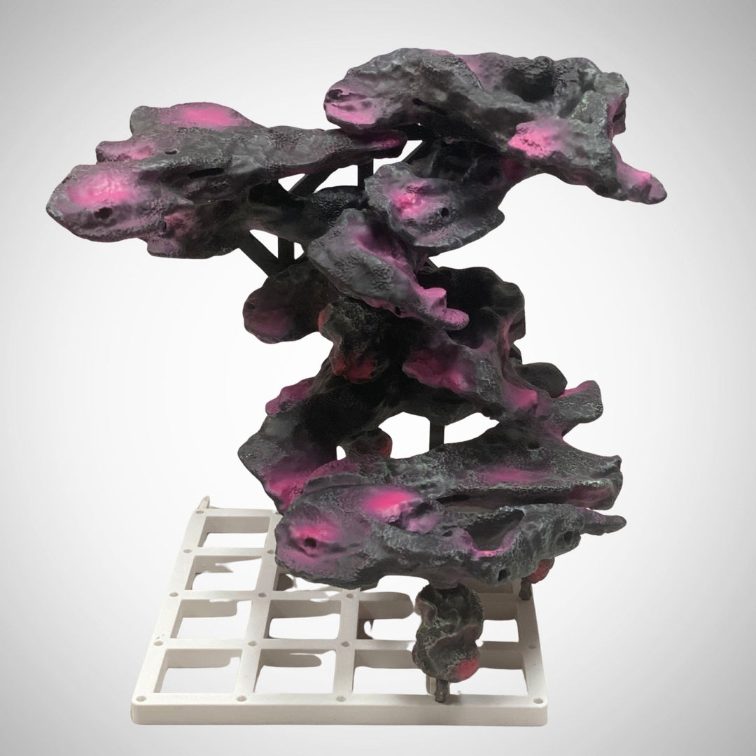 Living Blocks Reef