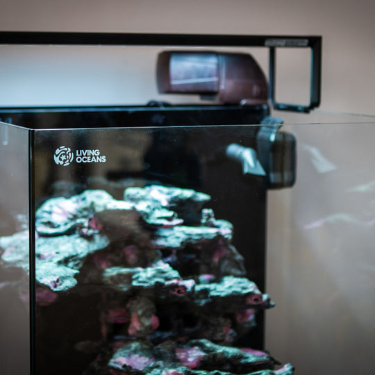 Smart Ecosystem Aquarium SEA 200L