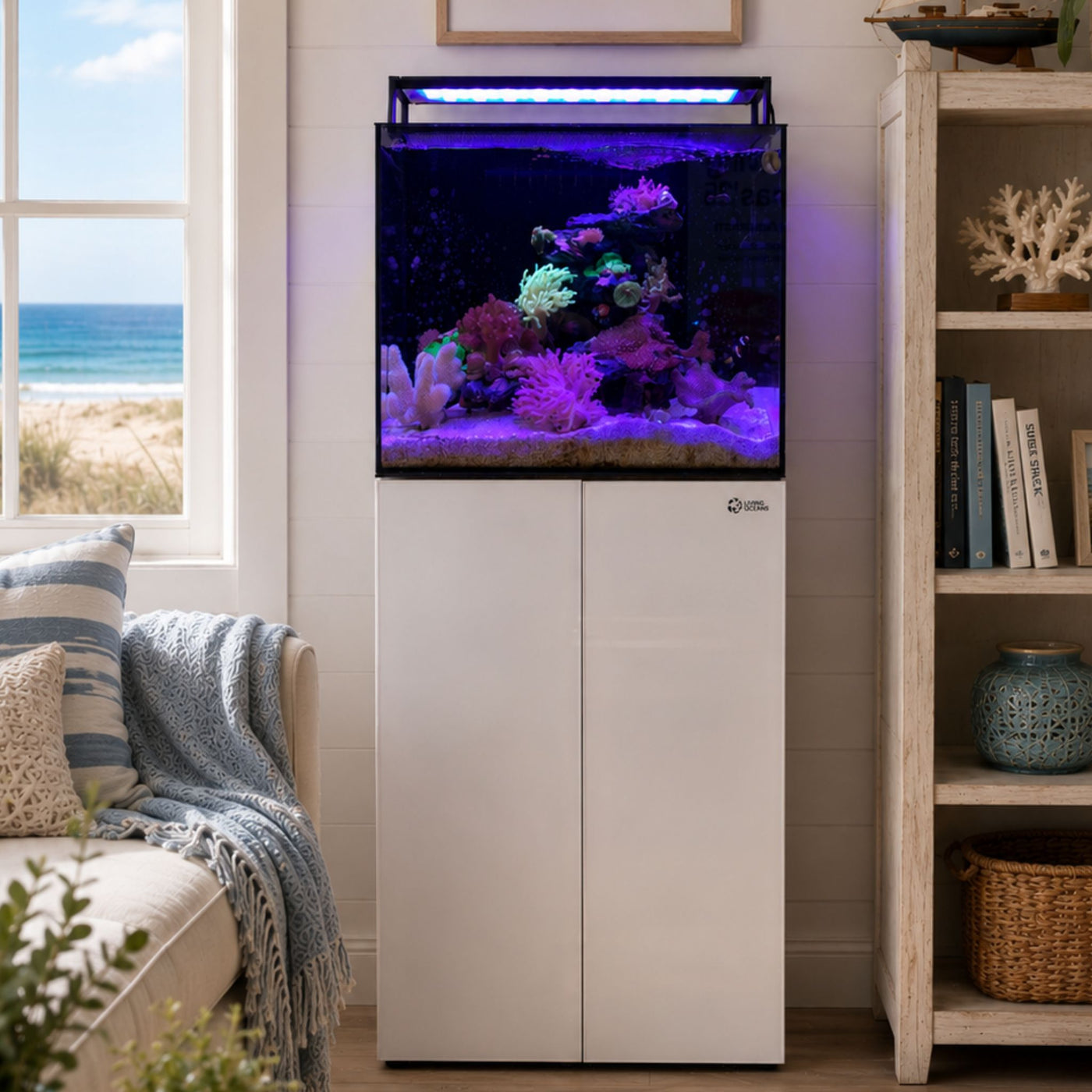 Living Oceans Aquarium - Clownfish