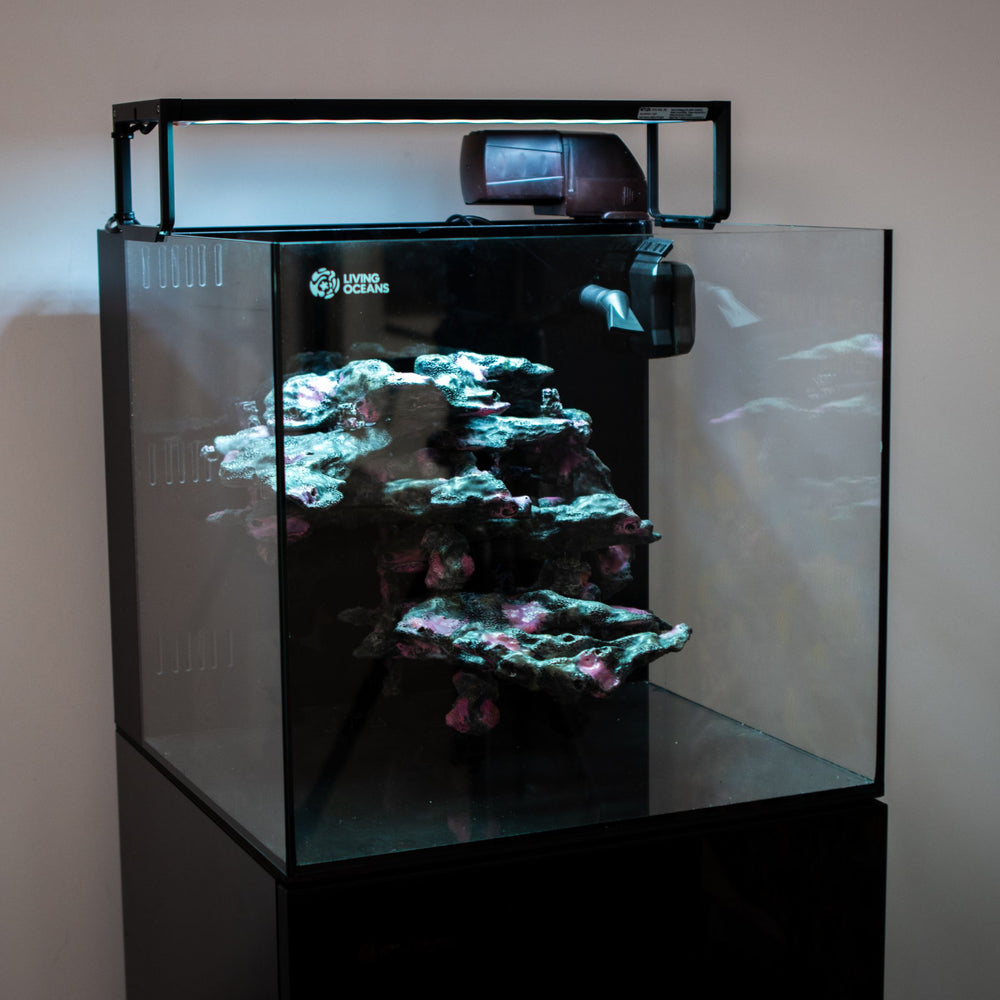 Living Blocks Reef