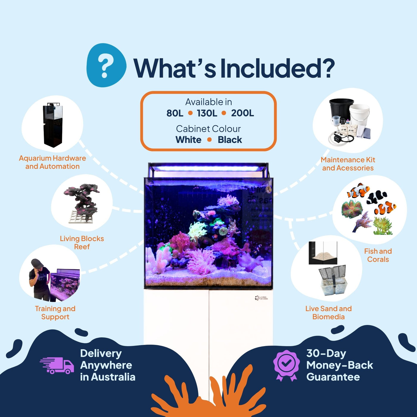 Living Oceans Aquarium - Clownfish