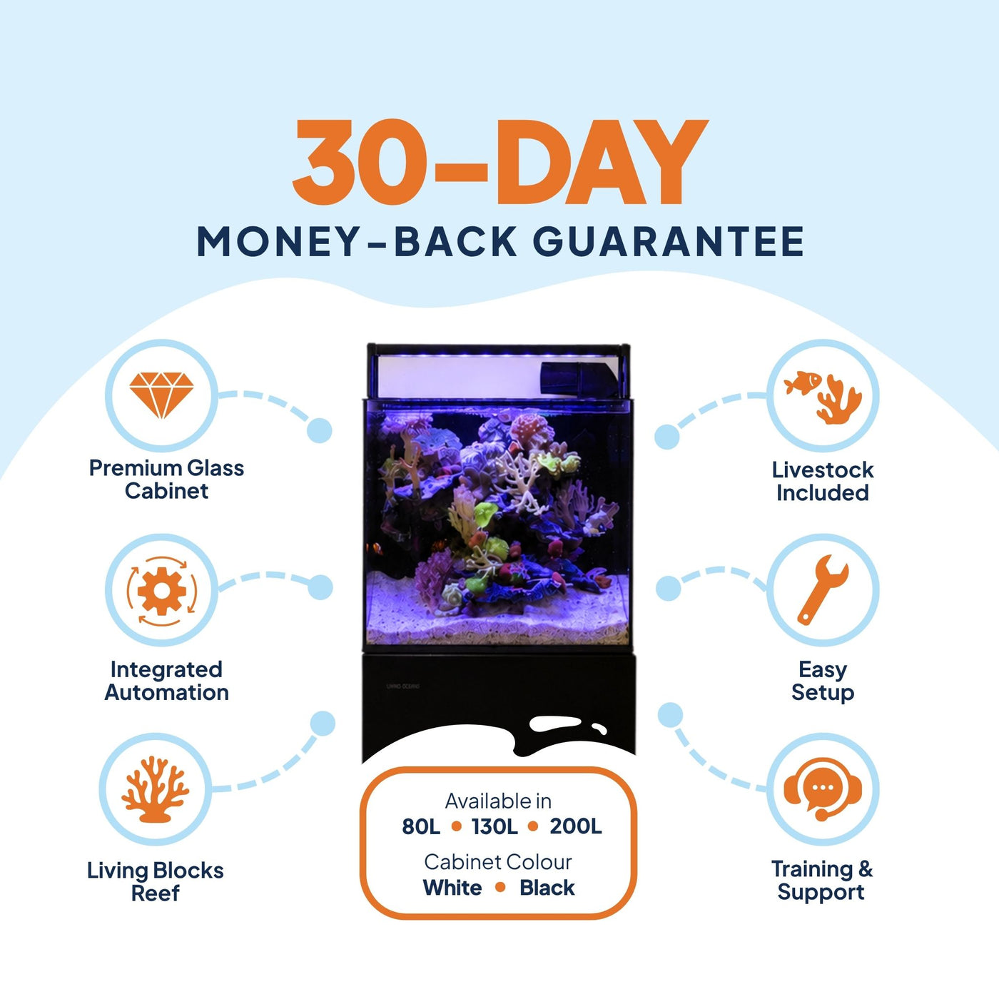 Living Oceans Aquarium - Clownfish