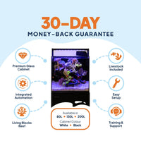 Living Oceans Aquarium - Clownfish