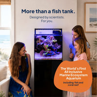 Living Oceans Aquarium - Clownfish Ecosystem