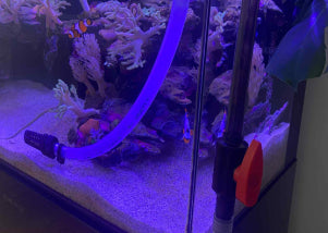 Preventative water change using the Living Oceans maintenance kit