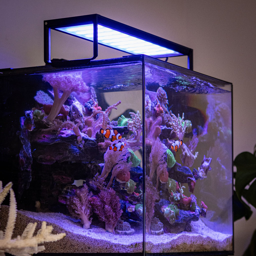 Smart Ecosystem Aquarium (SEA)